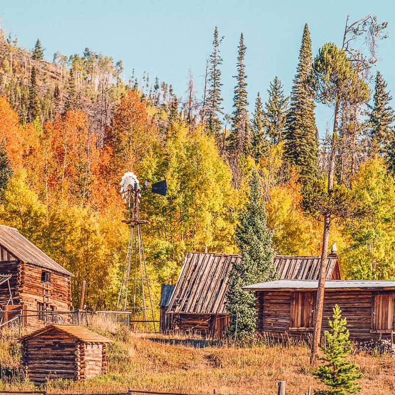 A group of log cabins on a hillside with trees in the background.