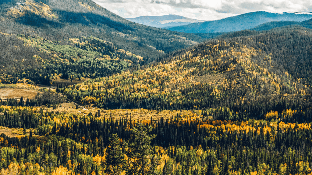 A view of the mountains and trees in the fall.