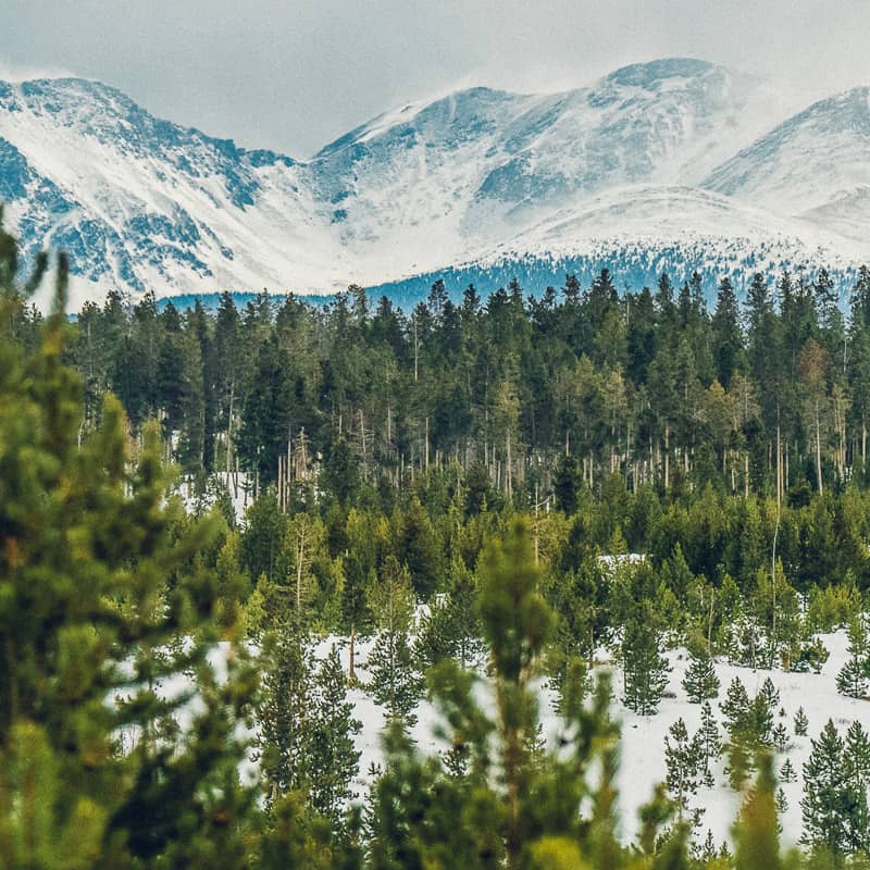 A snow covered mountain range with trees in the background.