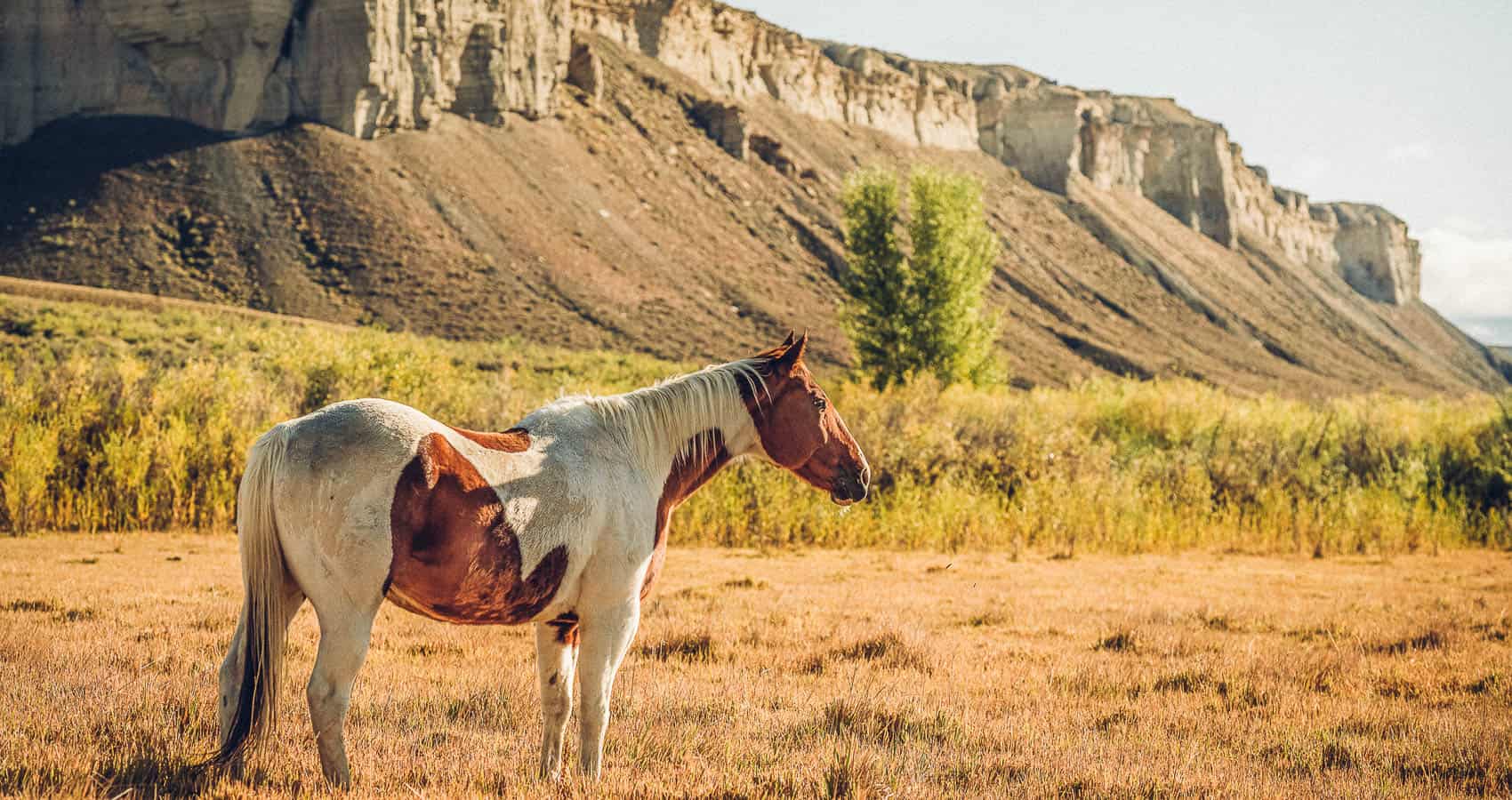 Things to Do in Kremmling, Colorado Visit Grand County