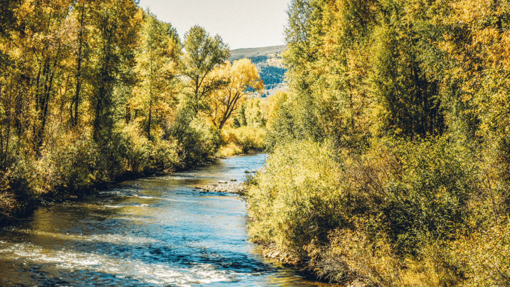 A river surrounded by trees in the fall.