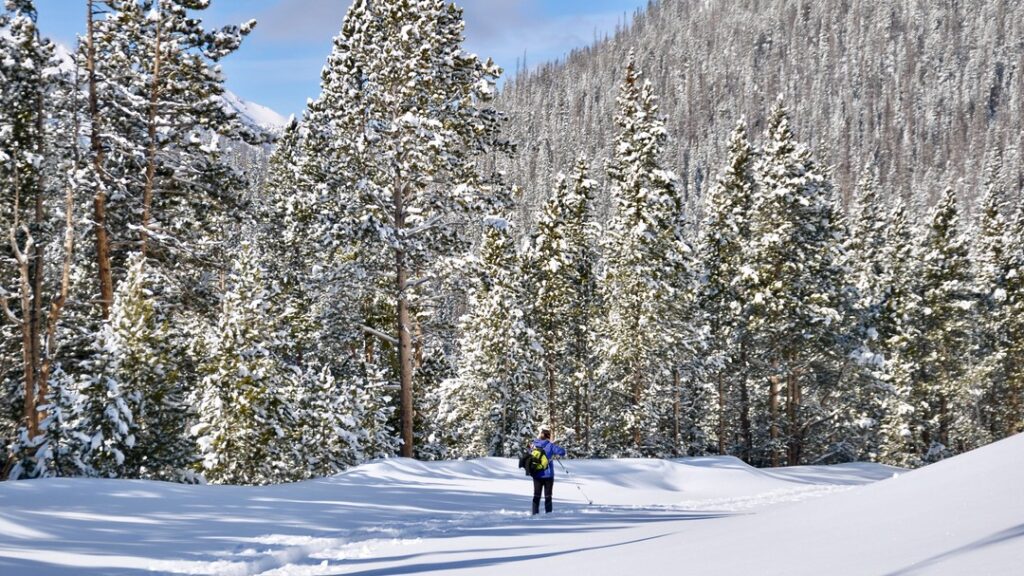 A person is skiing down a snowy trail with trees in the background.