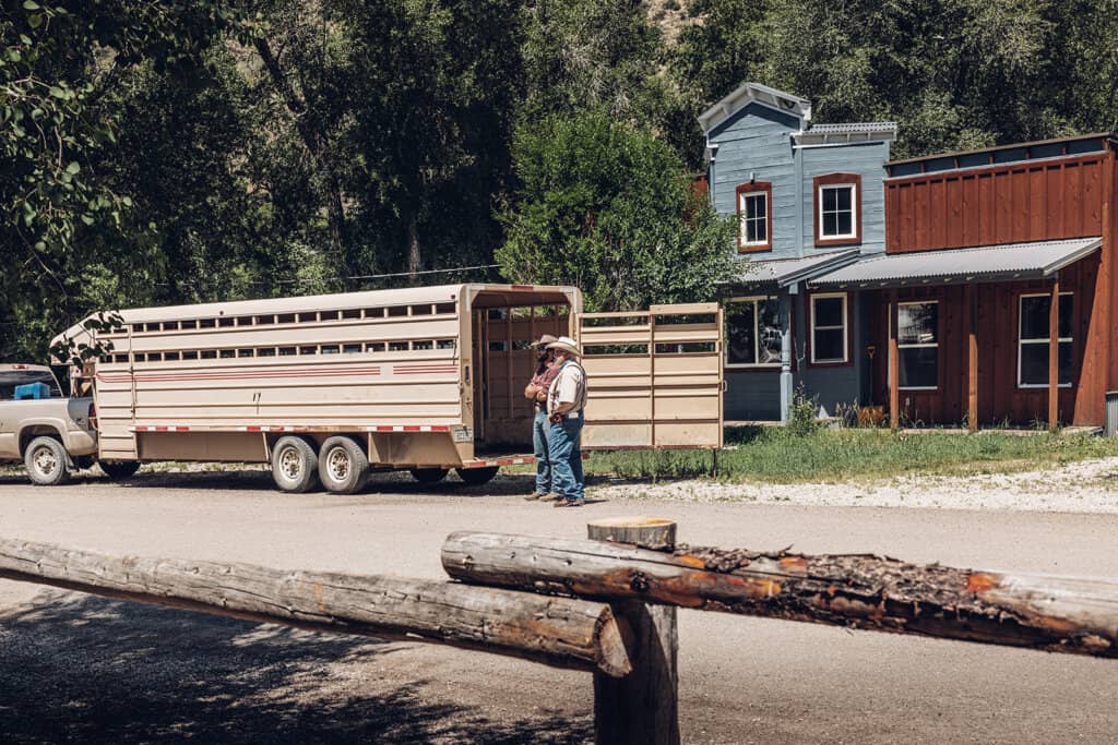 A man is standing in front of a trailer with a horse in it.