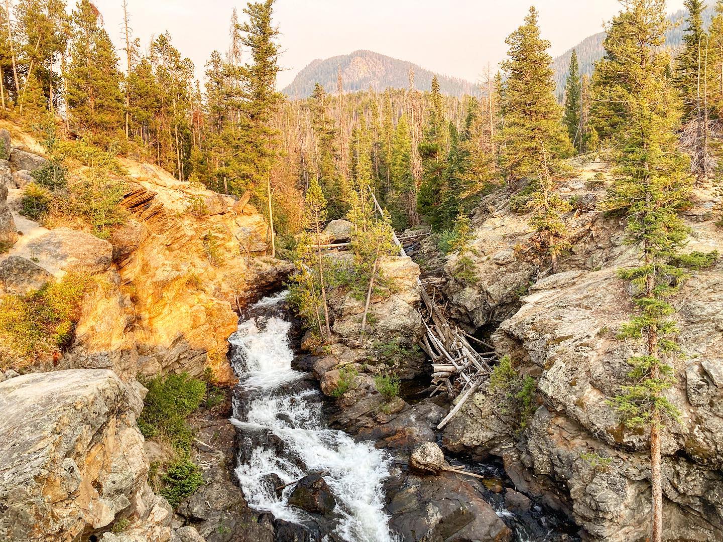 A stream running through a rocky area with trees.
