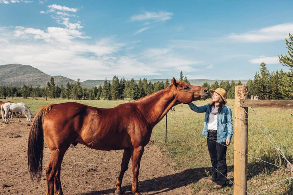 A woman is petting a horse.