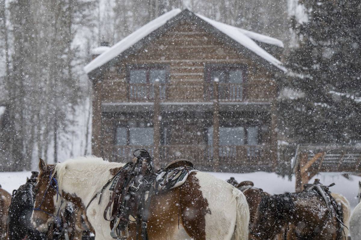 A horse standing in front of the lodge at C Lazy U Ranch in Granby on a snowy day