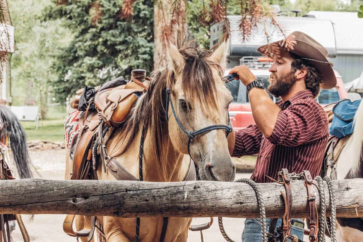 A man in a cowboy hat is petting a horse in Hot Sulphur Springs