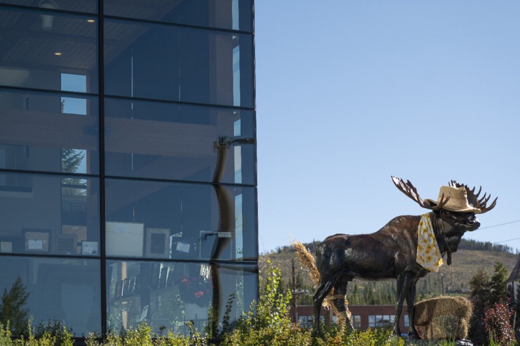 A moose statue with a cowboy hat and bandana stands near a modern glass building in Grand County Colorado.