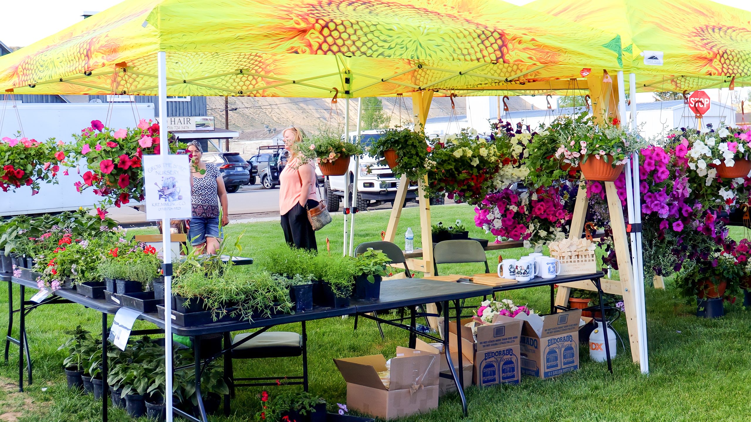 A vibrant outdoor flower market with colorful hanging baskets and potted plants under a yellow tent in Grand County Colorado.