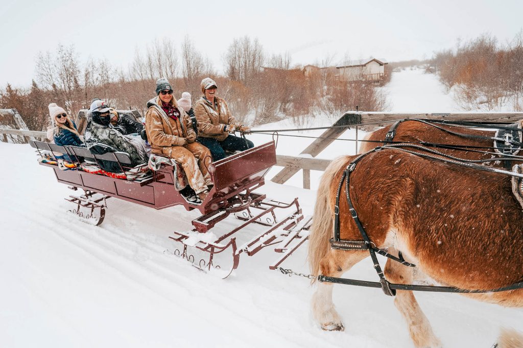 A group of six people enjoy a snowy sleigh ride pulled by two brown horses in Grand County Colorado.