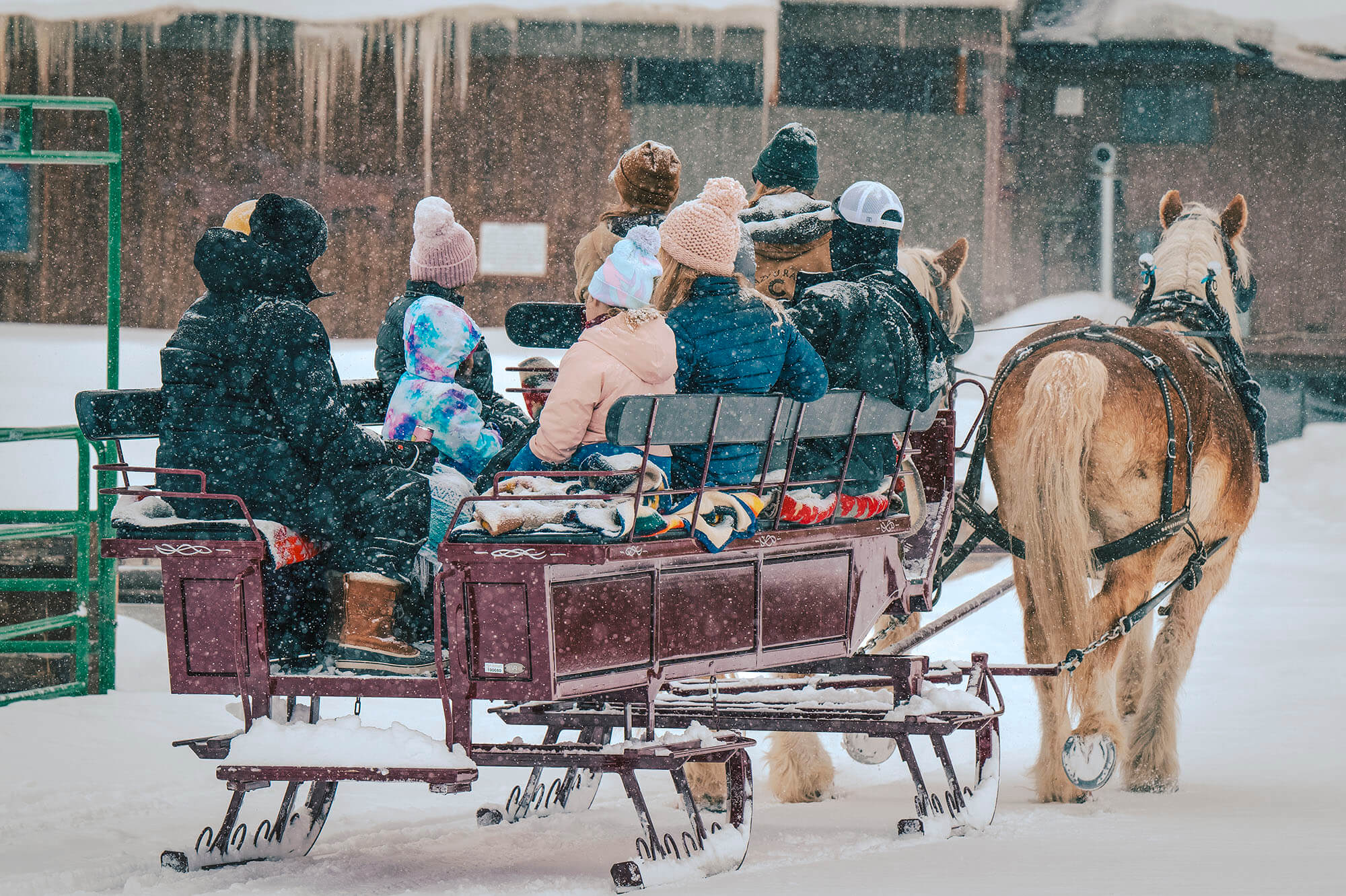 A group of people, bundled up in winter clothing, enjoy a sleigh ride pulled by two horses in the snow in Grand County Colorado.