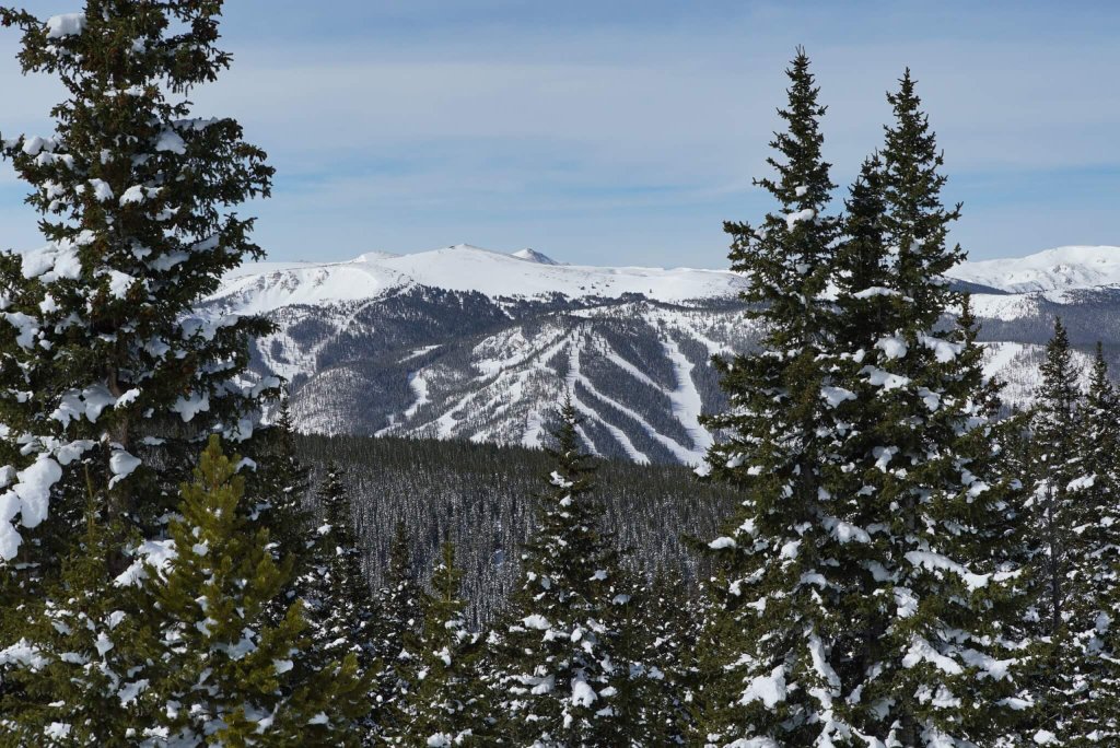 Snow-covered evergreen trees frame a breathtaking view of distant snow-capped mountains under a clear blue sky in Grand County Colorado.