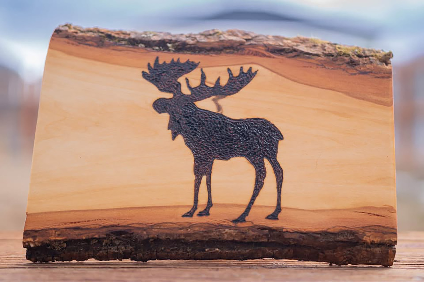 A carved wooden moose on a rustic wooden board in Grand County Colorado.