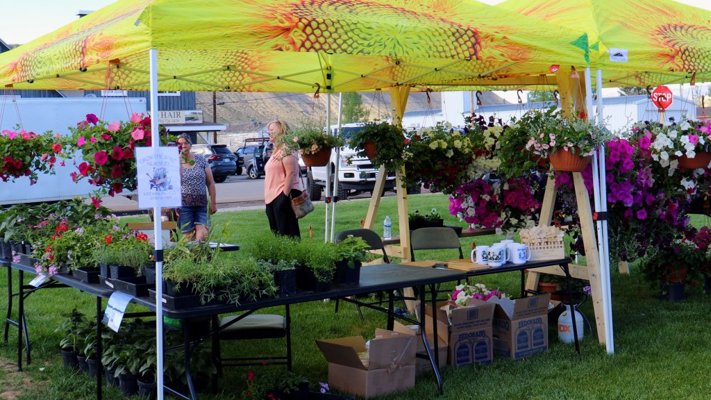 A vibrant outdoor market with a yellow canopy tent filled with hanging flower baskets and tables of potted plants, attended by two women in Grand County Colorado.