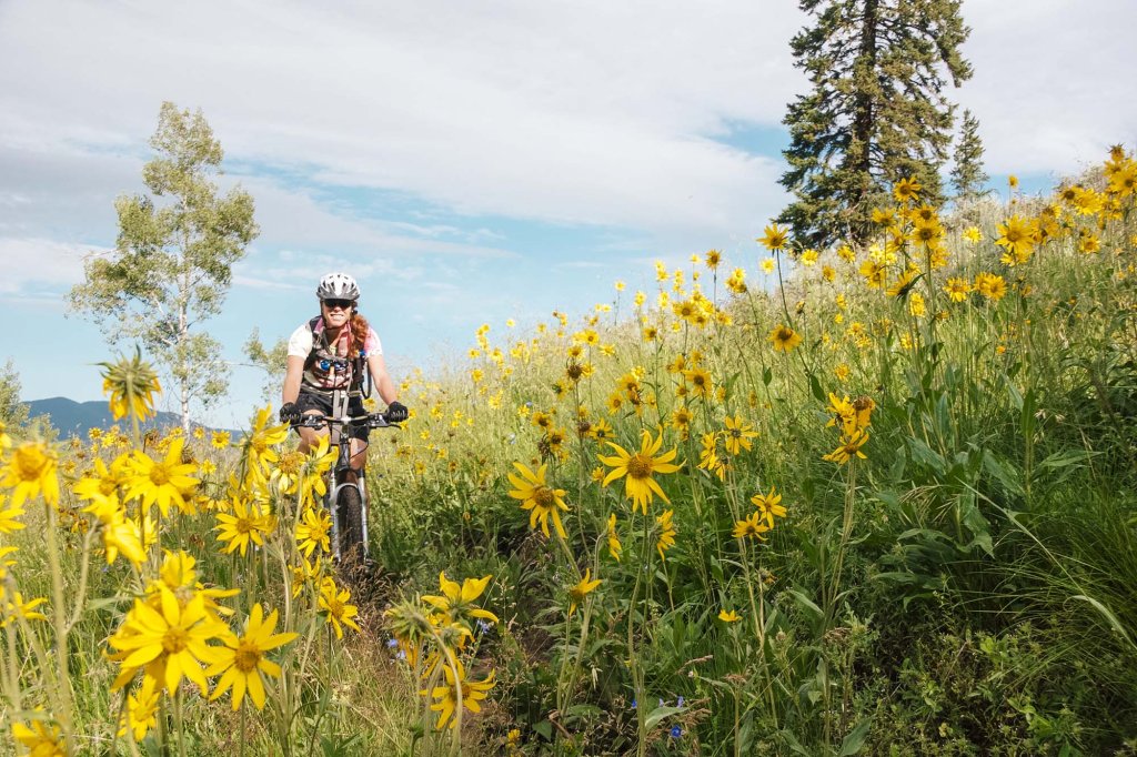 A person riding a mountain bike along the Fraser to Granby Trail, lined with fields of tall grass and sunflowers.