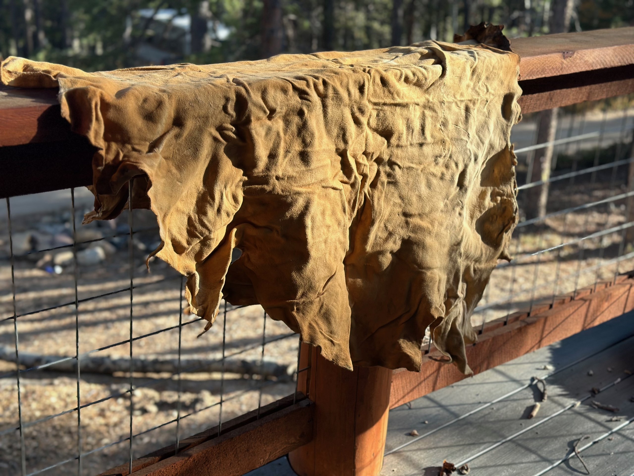 A weathered leather blanket hangs over a wooden fence, with a forest backdrop in Grand County Colorado.