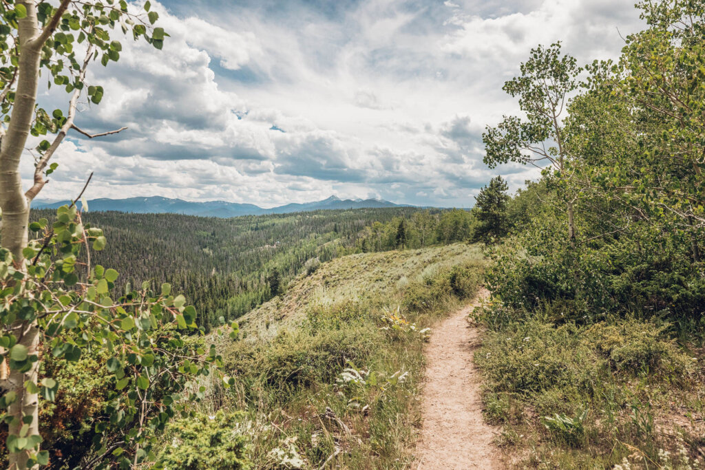 A dirt hiking trail winds through a lush mountain forest under a cloudy sky in Grand County Colorado.